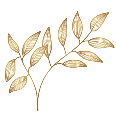 image from pngtree.com